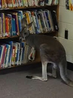 Australian law firm currently require a Legal Librarian to join their Information Services team on a 12 month contract
