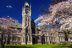 Otago University ( Canada) Wants To Hear Your Lawyer Story