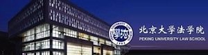 More Detail on That Peking Uni Legal AI Course