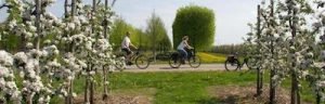 Apple In Fight With Bike Path