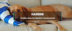 A Shaggy Dog Story:"Airbnb in legal row with Scots dog holiday home firm Hairbnb"