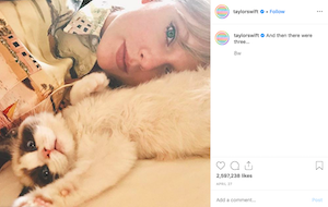 Just When You Thought It Couldn't Get Sillier...Taylor Swift just trademarked her new kitten, Benjamin Button