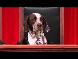 John Oliver's, Dog Supreme Court Debates Human Sacrifice