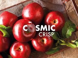 Cosmic Apples Cost Washington State University $US100K