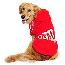 Adidas Prevails in Japanese Trademark Fight Over "adidog"