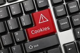 Law.com Article: EU's Top Court Rules that Online Users Must Actively Consent to Cookies