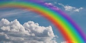 Article: This woman tried to trademark the ‘sweet rainbow’ because the ‘gays had raped it’. Yes, really