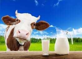 More Food & COVID Law, This Time France: France allows changes to raw milk regulations because of coronavirus