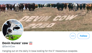 Republican Politician Devin Nunes can’t sue Twitter over insults from fake cow, judge rules