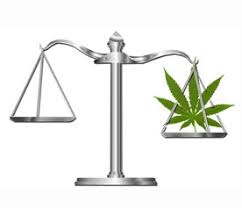 4 Reasons You Need a Cannabis Attorney for Your Business