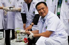 Thailand's Health chief plants cannabis as country eyes medicinal market
