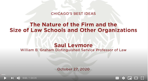 Saul Levmore, "The Nature of the Firm and the Size of Law Schools and Other Organizations"