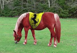 The National Law Jnl -"Don't Mess with Ferrari: The Prancing Horse Legal Drama"
