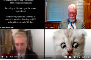 Lawyer To Judge On Zoom … I Am Not A Cat