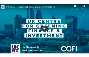 UK Centre for Greening Finance and Investment (CGFI)