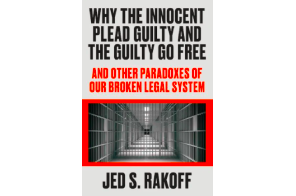 USA: Why the Innocent Plead Guilty and the Guilty Go Free: And Other Paradoxes of Our Broken Legal System Hardcover – February 16, 2021