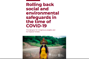 PDF - Report:  Rolling back social and environmental safeguards in the time of COVID-19 The dangers for indigenous peoples and for tropical forests