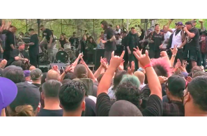 Outdoor NY Punk Show May Have Violated COVID Rules Say Parks and Recreation Department
