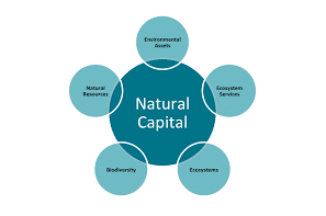 Policy Paper: Biodiversity, natural capital and the economy: a policy guide for finance, economic and environment ministers