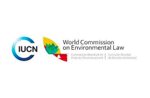 Archived Webinar(s) Developments in Environmental Rule of Law in Africa (Part 1) / Environmental Law in Africa: What is the Role of Civil Society in Environmental Governance?