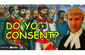 Freemen of the Land & The Magna Carta | Is Consent Required? | BlackBeltBarrister