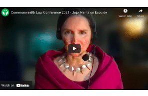 Commonwealth Law Conference 2021 - Jojo Mehta on Ecocide