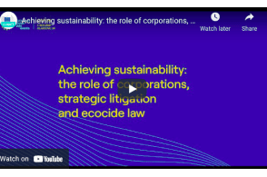 Official European Union Side Event:  ‘Achieving sustainability: the role of corporations, strategic litigation and ecocide law’.