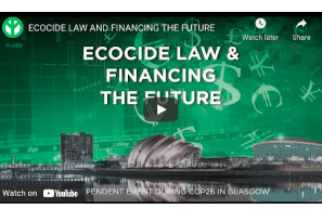 Independent SEI event: ‘Ecocide Law & Financing the Future’