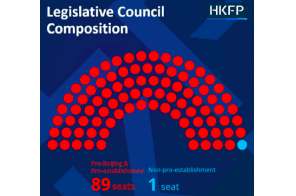 Hong Kong Free Press Create Infographics On Results Of  “Patriots Only” Election