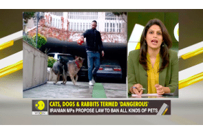 Cats, Rabbits & Dogs: Iran mulls law to ban 'destructive' pets ?