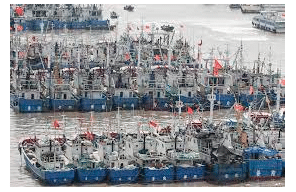 HKFP - Opinion Piece: How China’s fishing fleet is devastating ecosystems, harming poor countries and contributing to conflict