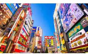 Article - Japan: The Economics of Crypto Gambling Regulations
