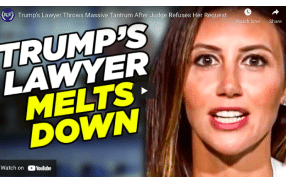 Trump's Lawyer Throws Massive Tantrum After Judge Refuses Her Request