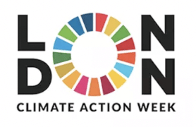 Global Trends in Climate Litigation, 30 June (online and in person, London)