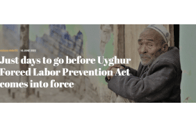 Just days to go before Uyghur Forced Labor Prevention Act comes into force
