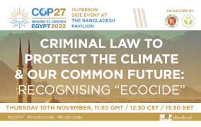 COP: CRIMINAL LAW TO PROTECT THE CLIMATE & OUR COMMON FUTURE: RECOGNISING “ECOCIDE”