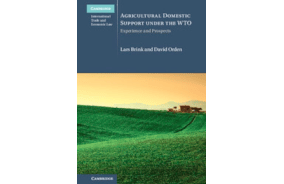 Agricultural Domestic Support Under the WTO: Experience and Prospects