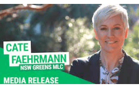 NSW - Australia: Greens Press Release - Labor must support gambling card after NCOSS withdraws support for Clubs Grants: Greens