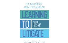 Learning to Litigate A Guide for Young Lawyers