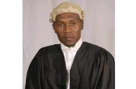 Nigeria: Bandits Kill Another Lawyer In Zamfara