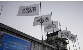 Taliban Undertake Speedy Overhaul of Afghanistan’s Justice System