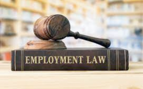 How to Choose the Right Employment Lawyer for Your Case