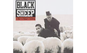 UMG defeats rap duo Black Sheep's lawsuit over Spotify royalties