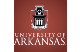 Cynthia Nance Appointed as Dean of the School of Law Through 2026