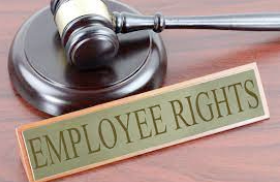 Protecting Your Workplace Rights: Unraveling the Expertise of an Oakville Employment Lawyer