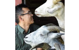 University of Denver Law School attorneys involved in the Animal Activist Legal Defense Project To Defend Animal Rights Activist Wayne Hsiung