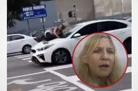 Suspected Dognapper Arrested After Outrageous Getaway Goes Viral