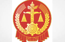Xinhua Report: China launches law case database
