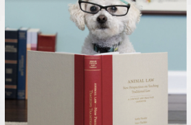 Resource: Animal Law Books & Periodicals - Animal Legal Defense Fund