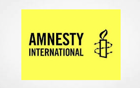 Amnesty International - Annual Report - critical of UK